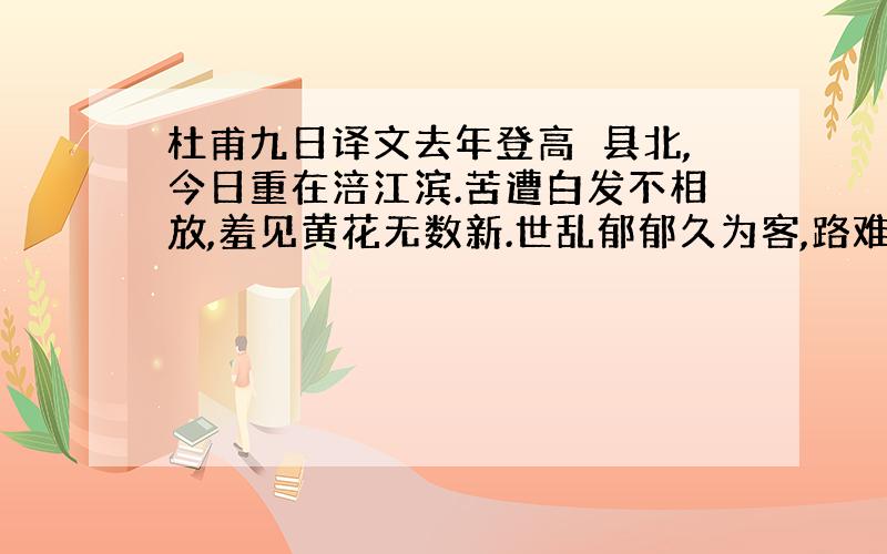 杜甫九日译文去年登高郪县北,今日重在涪江滨.苦遭白发不相放,羞见黄花无数新.世乱郁郁久为客,路难悠悠常傍人.酒阑却忆十年