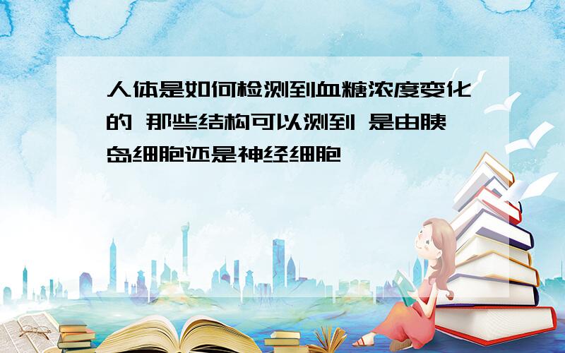 人体是如何检测到血糖浓度变化的 那些结构可以测到 是由胰岛细胞还是神经细胞