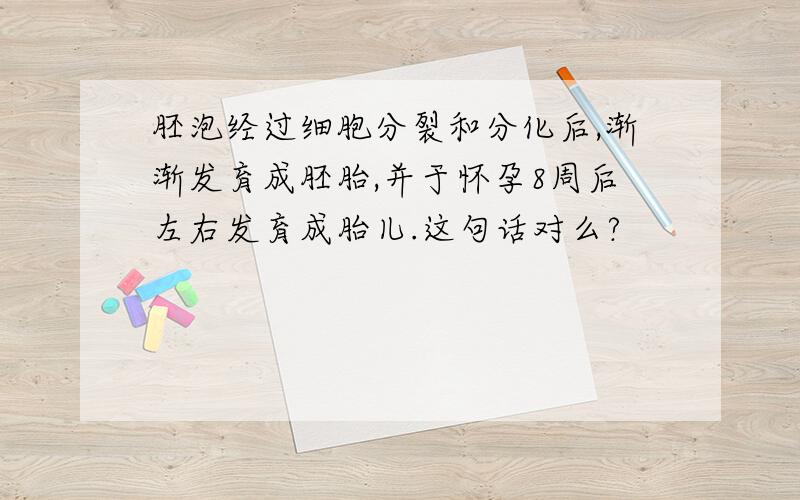 胚泡经过细胞分裂和分化后,渐渐发育成胚胎,并于怀孕8周后左右发育成胎儿.这句话对么?