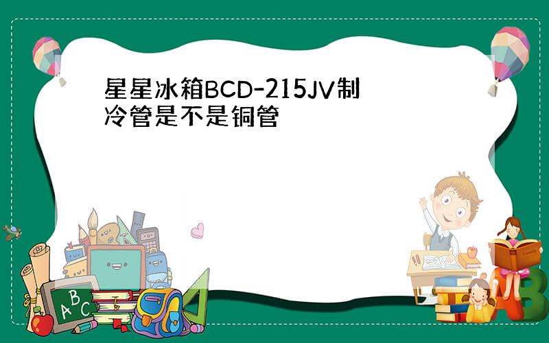 星星冰箱BCD-215JV制冷管是不是铜管