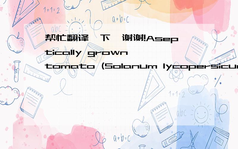 帮忙翻译一下,谢谢!Aseptically grown tomato (Solanum lycopersicum ‘IP