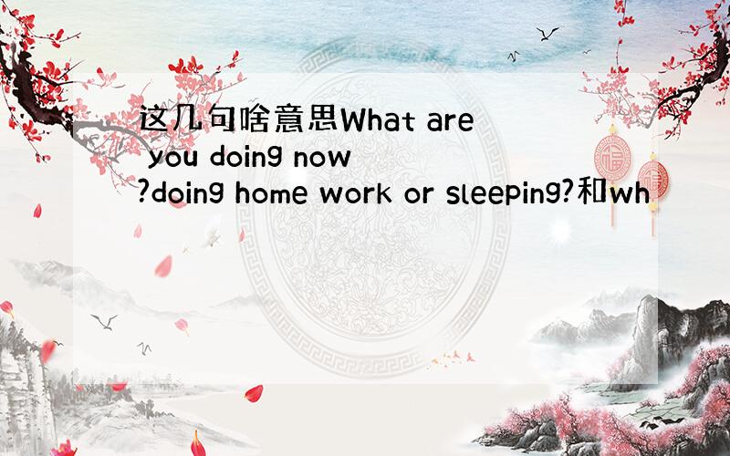 这几句啥意思What are you doing now?doing home work or sleeping?和wh