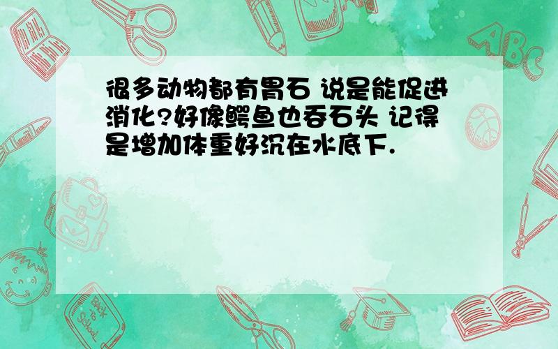 很多动物都有胃石 说是能促进消化?好像鳄鱼也吞石头 记得是增加体重好沉在水底下.