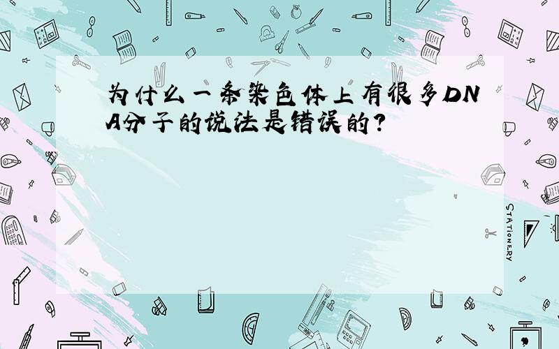 为什么一条染色体上有很多DNA分子的说法是错误的?