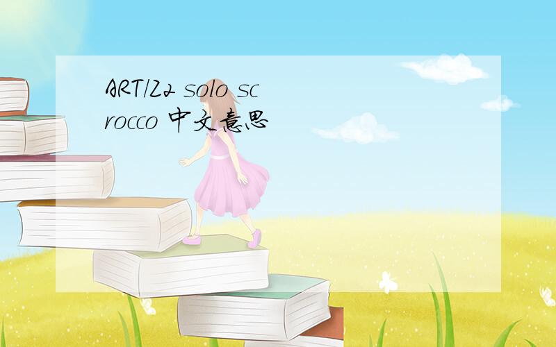 ART/Z2 solo scrocco 中文意思