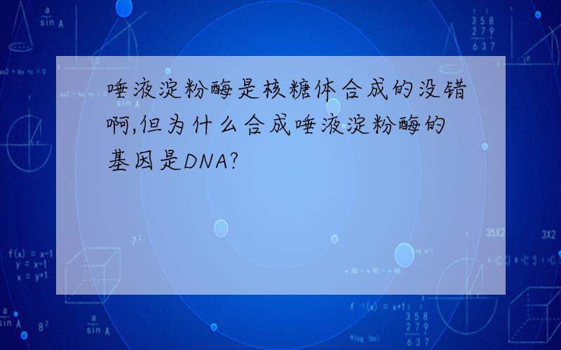 唾液淀粉酶是核糖体合成的没错啊,但为什么合成唾液淀粉酶的基因是DNA?