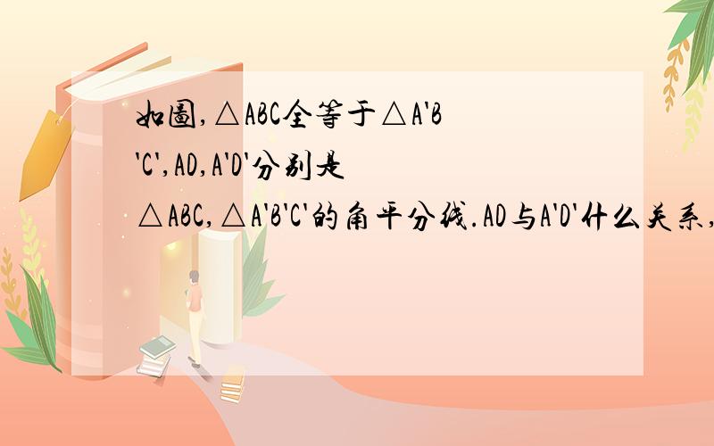 如图,△ABC全等于△A'B'C',AD,A'D'分别是△ABC,△A'B'C'的角平分线.AD与A'D'什么关系,证明