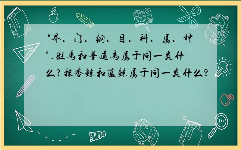 “界、门、纲、目、科、属、种”.斑马和普通马属于同一类什么?抹香鲸和蓝鲸属于同一类什么?