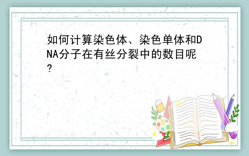 如何计算染色体、染色单体和DNA分子在有丝分裂中的数目呢?