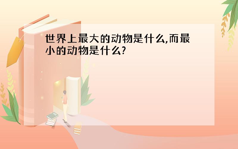 世界上最大的动物是什么,而最小的动物是什么?