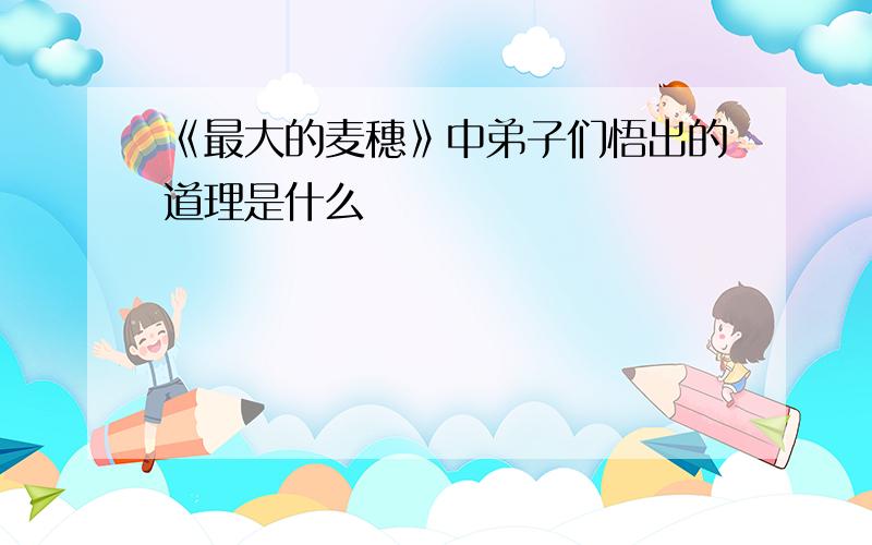 《最大的麦穗》中弟子们悟出的道理是什么