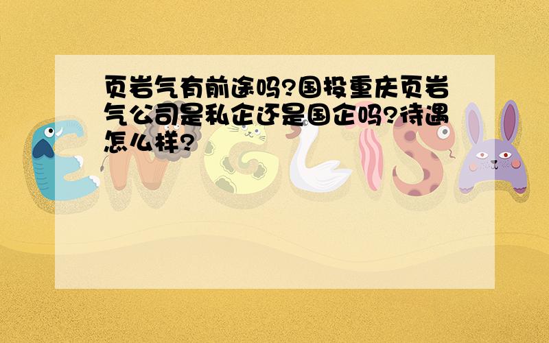 页岩气有前途吗?国投重庆页岩气公司是私企还是国企吗?待遇怎么样?