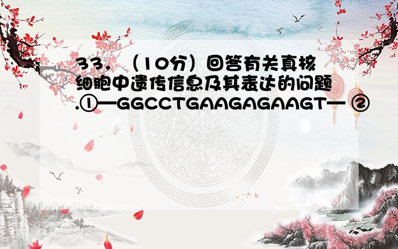 33．（10分）回答有关真核细胞中遗传信息及其表达的问题.①—GGCCTGAAGAGAAGT— ②