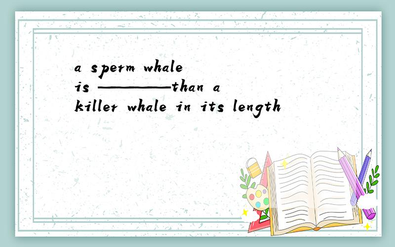 a sperm whale is ————than a killer whale in its length