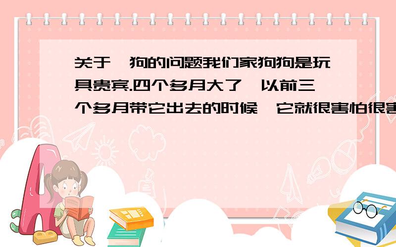 关于遛狗的问题我们家狗狗是玩具贵宾.四个多月大了,以前三个多月带它出去的时候,它就很害怕很害怕,不敢跟别的狗狗在一起玩,