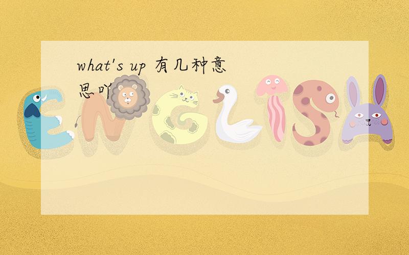 what's up 有几种意思吖