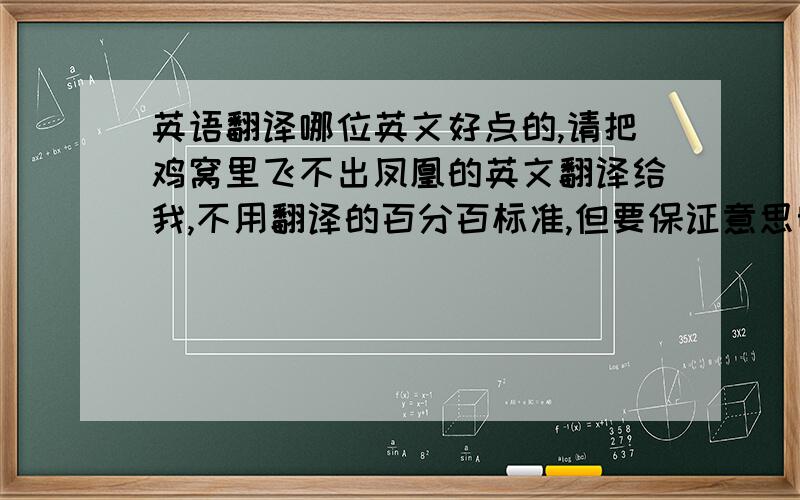 英语翻译哪位英文好点的,请把鸡窝里飞不出凤凰的英文翻译给我,不用翻译的百分百标准,但要保证意思明确和语法无错误.如果可以