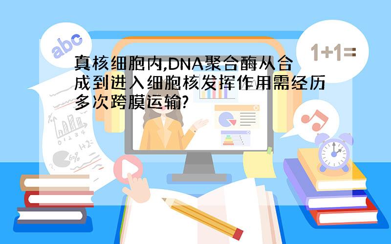 真核细胞内,DNA聚合酶从合成到进入细胞核发挥作用需经历多次跨膜运输?