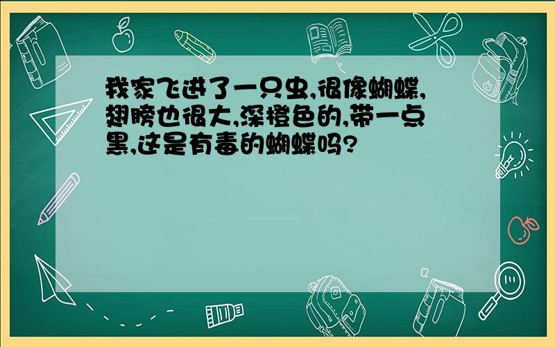 我家飞进了一只虫,很像蝴蝶,翅膀也很大,深橙色的,带一点黑,这是有毒的蝴蝶吗?