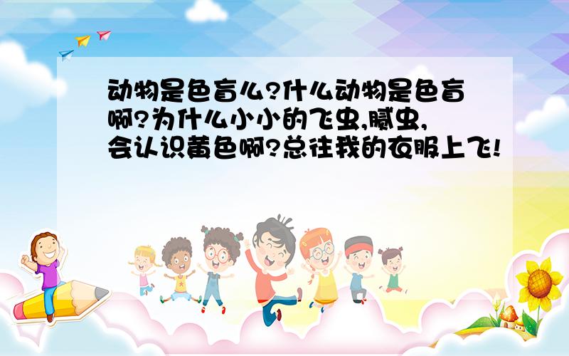 动物是色盲么?什么动物是色盲啊?为什么小小的飞虫,腻虫,会认识黄色啊?总往我的衣服上飞!