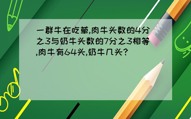 一群牛在吃草,肉牛头数的4分之3与奶牛头数的7分之3相等,肉牛有64头,奶牛几头?