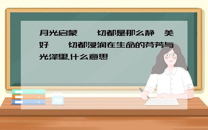 月光启蒙,一切都是那么静谧美好,一切都浸润在生命的芬芳与光泽里.什么意思