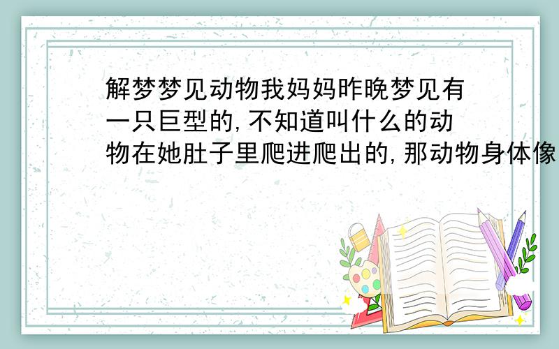 解梦梦见动物我妈妈昨晚梦见有一只巨型的,不知道叫什么的动物在她肚子里爬进爬出的,那动物身体像龙,头像蛇,四只爪,你们说说