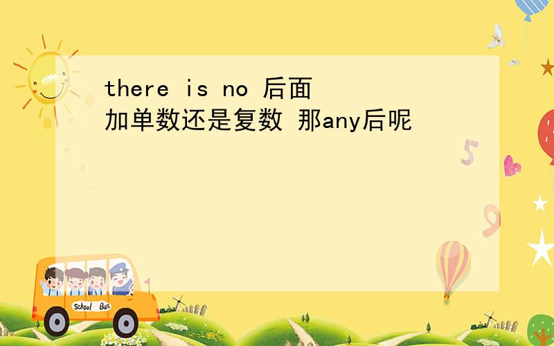 there is no 后面加单数还是复数 那any后呢