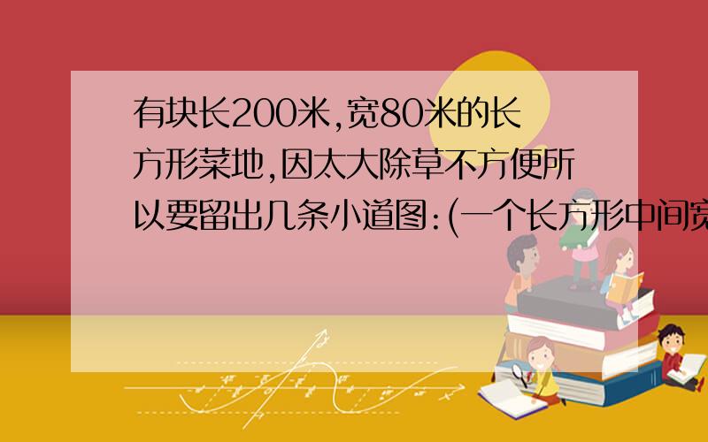 有块长200米,宽80米的长方形菜地,因太大除草不方便所以要留出几条小道图:(一个长方形中间宽度分别划3个小道,沿长度两