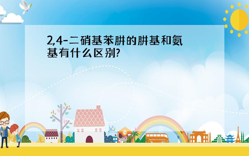 2,4-二硝基苯肼的肼基和氨基有什么区别?