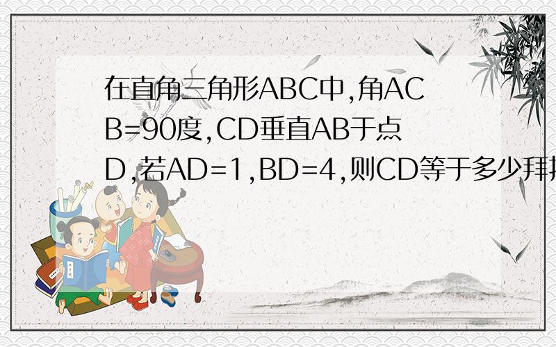 在直角三角形ABC中,角ACB=90度,CD垂直AB于点D,若AD=1,BD=4,则CD等于多少拜托了各位