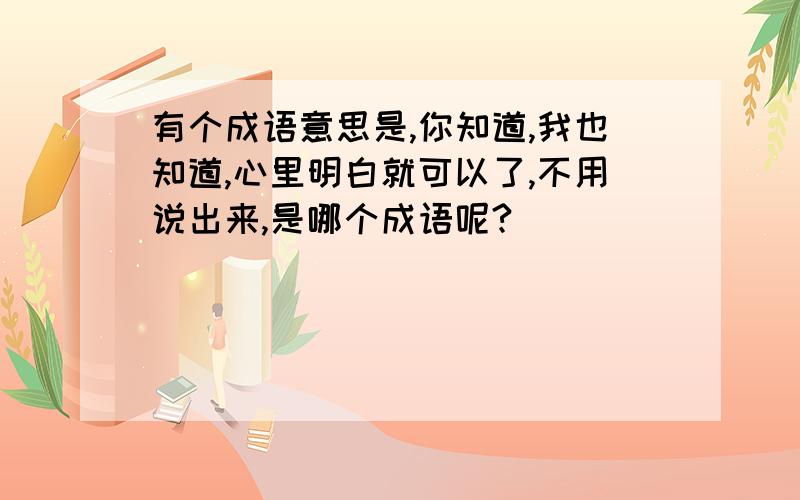 有个成语意思是,你知道,我也知道,心里明白就可以了,不用说出来,是哪个成语呢?