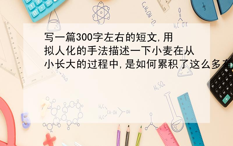 写一篇300字左右的短文,用拟人化的手法描述一下小麦在从小长大的过程中,是如何累积了这么多有机物