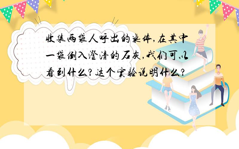 收集两袋人呼出的气体,在其中一袋倒入澄清的石灰,我们可以看到什么?这个实验说明什么?