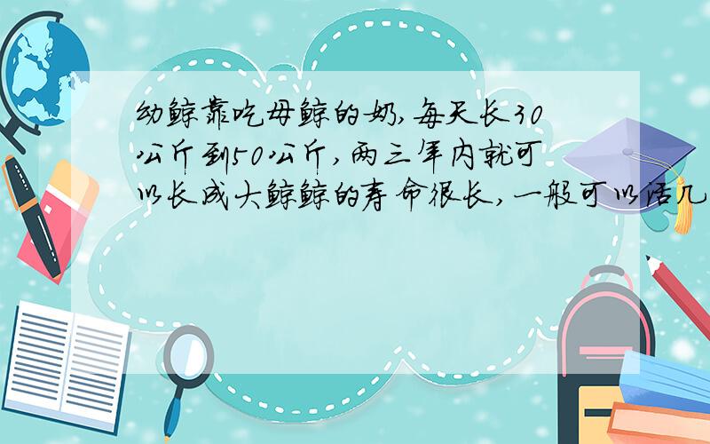 幼鲸靠吃母鲸的奶,每天长30公斤到50公斤,两三年内就可以长成大鲸鲸的寿命很长,一般可以活几十年到一百年