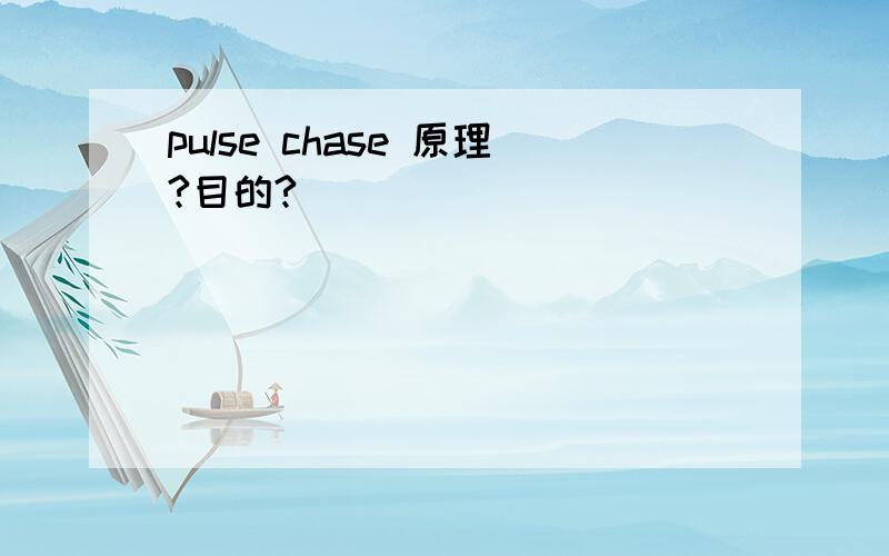 pulse chase 原理?目的?