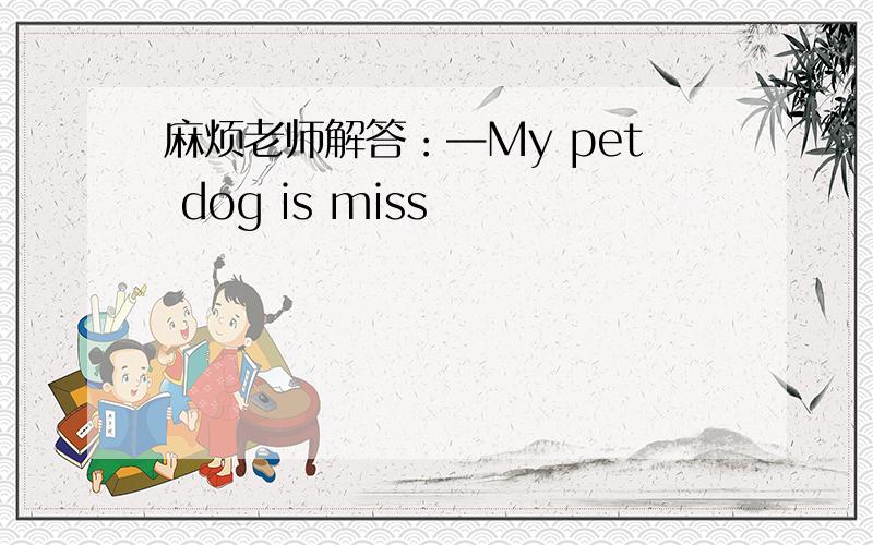 麻烦老师解答：—My pet dog is miss