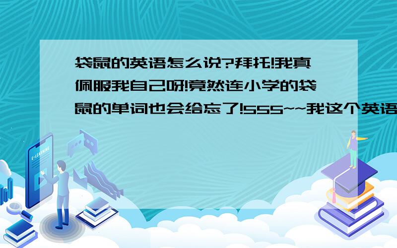 袋鼠的英语怎么说?拜托!我真佩服我自己呀!竟然连小学的袋鼠的单词也会给忘了!555~~我这个英语科代表还怎么当下去啊!?