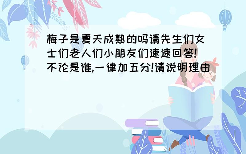 梅子是夏天成熟的吗请先生们女士们老人们小朋友们速速回答!不论是谁,一律加五分!请说明理由