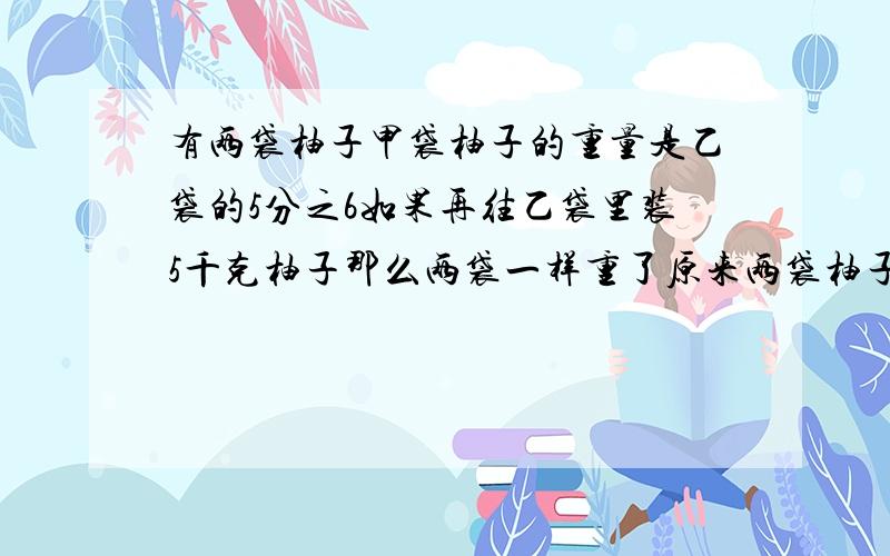 有两袋柚子甲袋柚子的重量是乙袋的5分之6如果再往乙袋里装5千克柚子那么两袋一样重了原来两袋柚子各有多少千克?