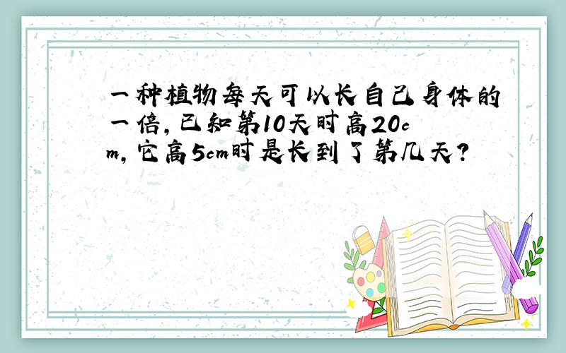 一种植物每天可以长自己身体的一倍,已知第10天时高20cm,它高5cm时是长到了第几天?