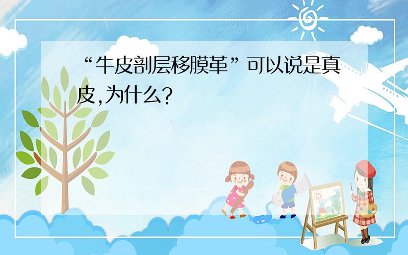 “牛皮剖层移膜革”可以说是真皮,为什么?