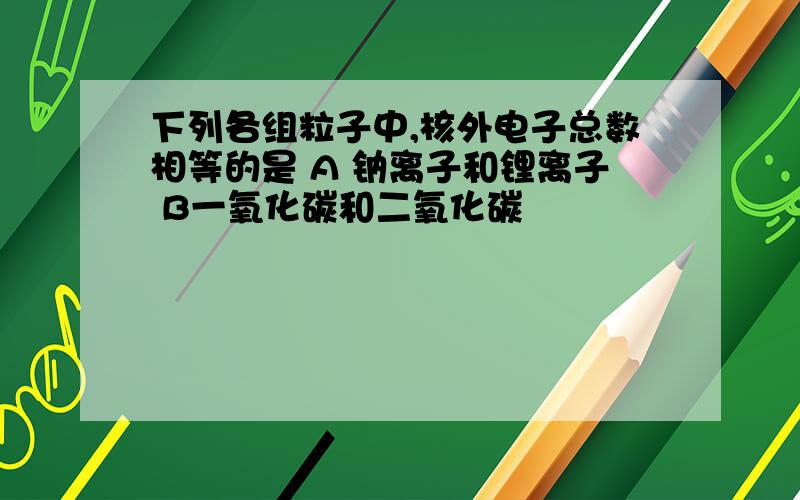 下列各组粒子中,核外电子总数相等的是 A 钠离子和锂离子 B一氧化碳和二氧化碳