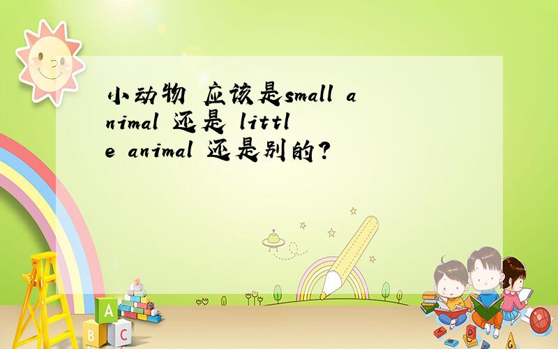 小动物 应该是small animal 还是 little animal 还是别的?