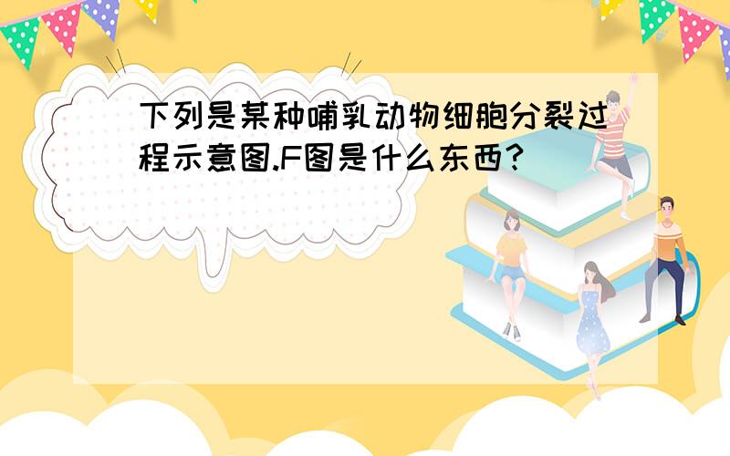 下列是某种哺乳动物细胞分裂过程示意图.F图是什么东西?