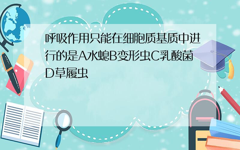 呼吸作用只能在细胞质基质中进行的是A水螅B变形虫C乳酸菌D草履虫