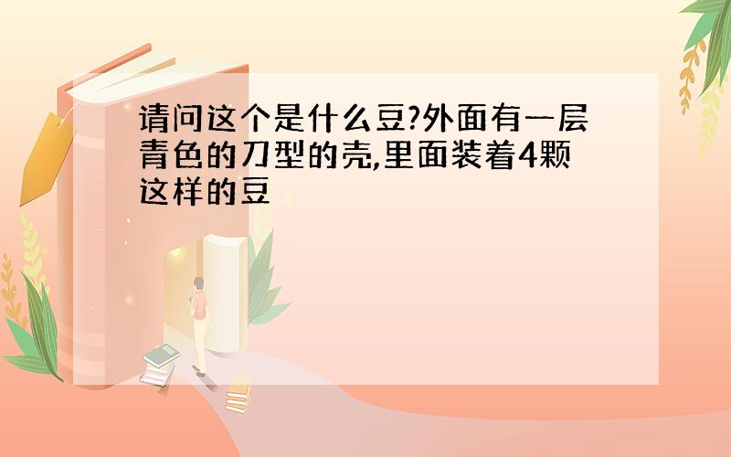 请问这个是什么豆?外面有一层青色的刀型的壳,里面装着4颗这样的豆