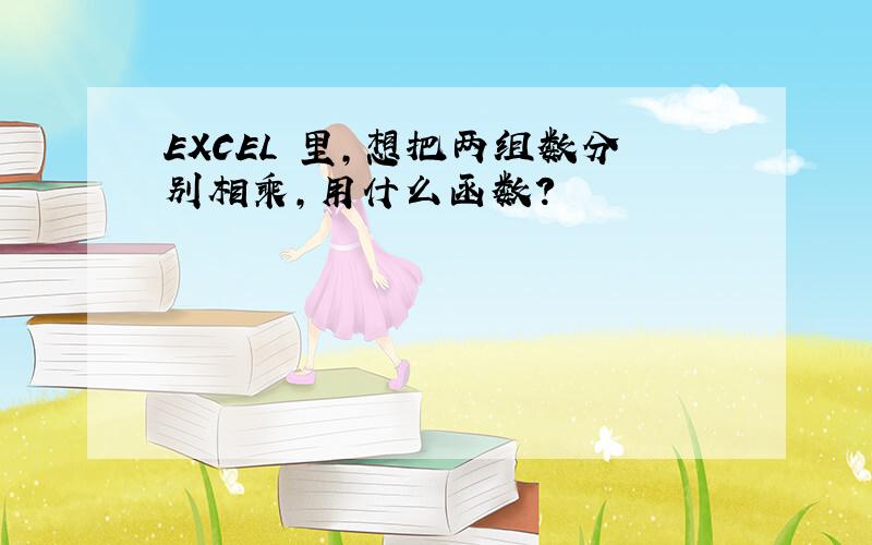 EXCEL 里,想把两组数分别相乘,用什么函数?