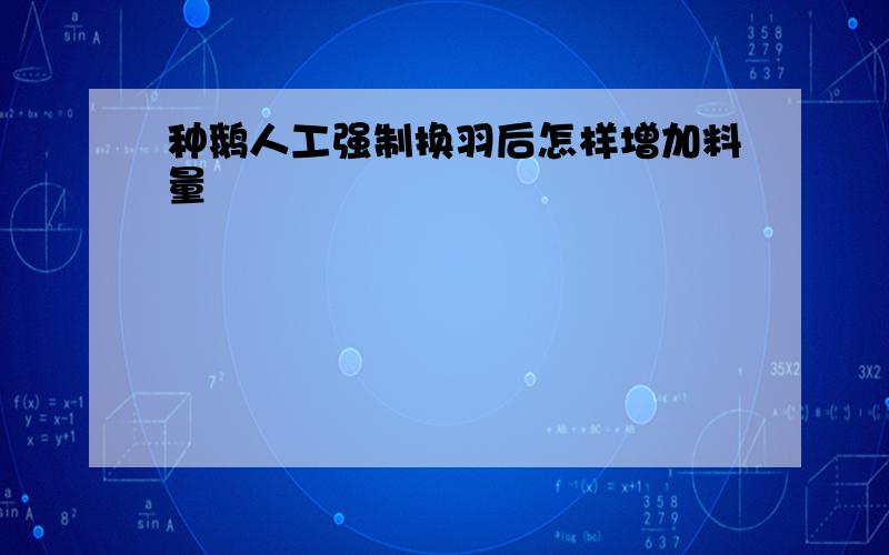 种鹅人工强制换羽后怎样增加料量