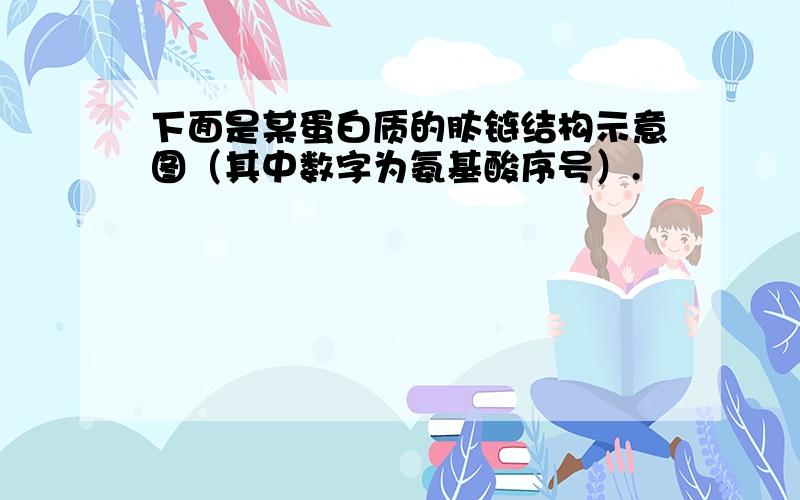 下面是某蛋白质的肽链结构示意图（其中数字为氨基酸序号）.